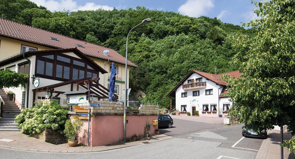 Hotel Berg Dannenfels Esterno foto